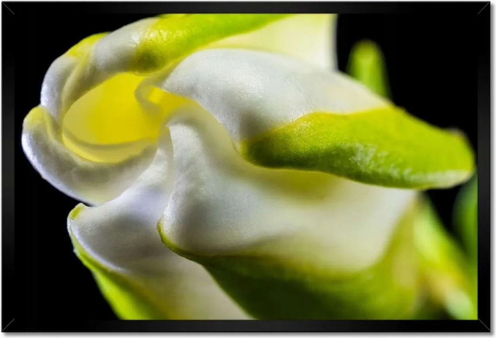 Poszterek keretben 60x40 Nőnap Ajándék Love