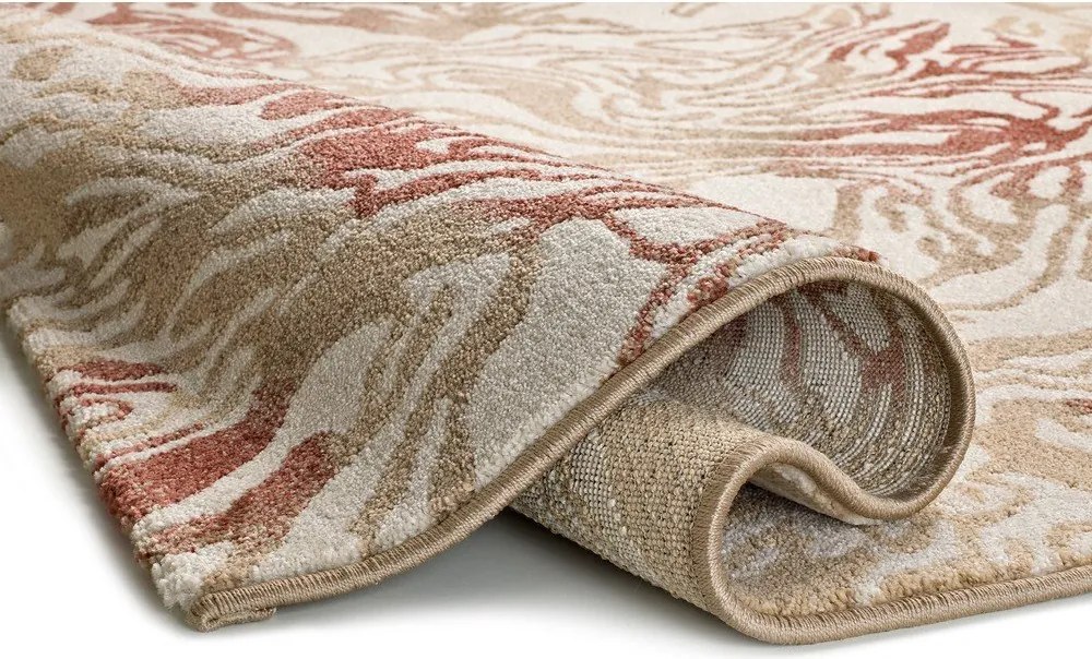 Bézs-terrakotta színű szőnyeg 160x230 cm Astra – Universal