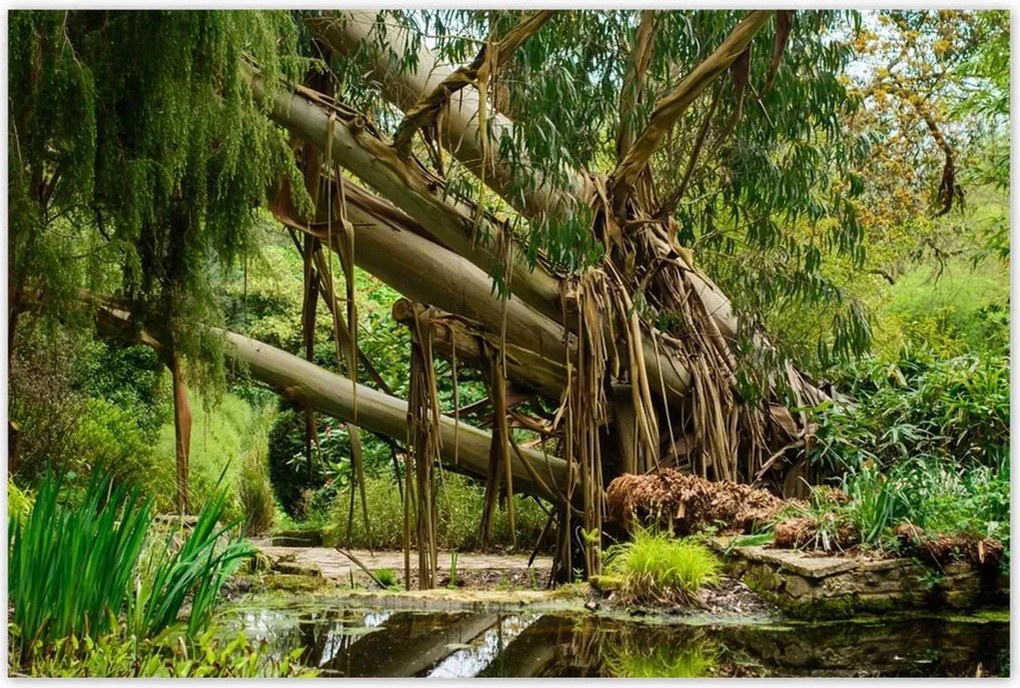 Poszterek 120x80 Tájkép Látvány