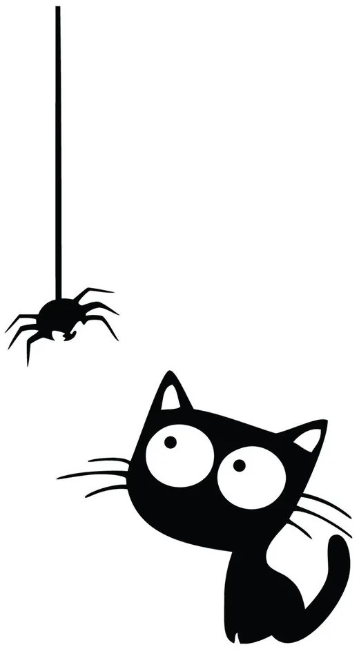 Cat And Spider falmatrica - Ambiance