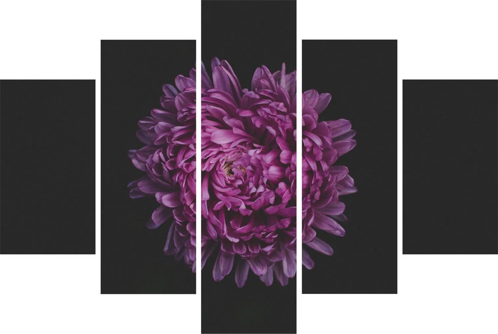 Lila virág képe (150x105 cm)