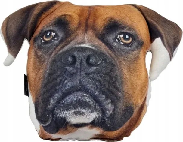 3D párna Kutya Boxer boxer kutya