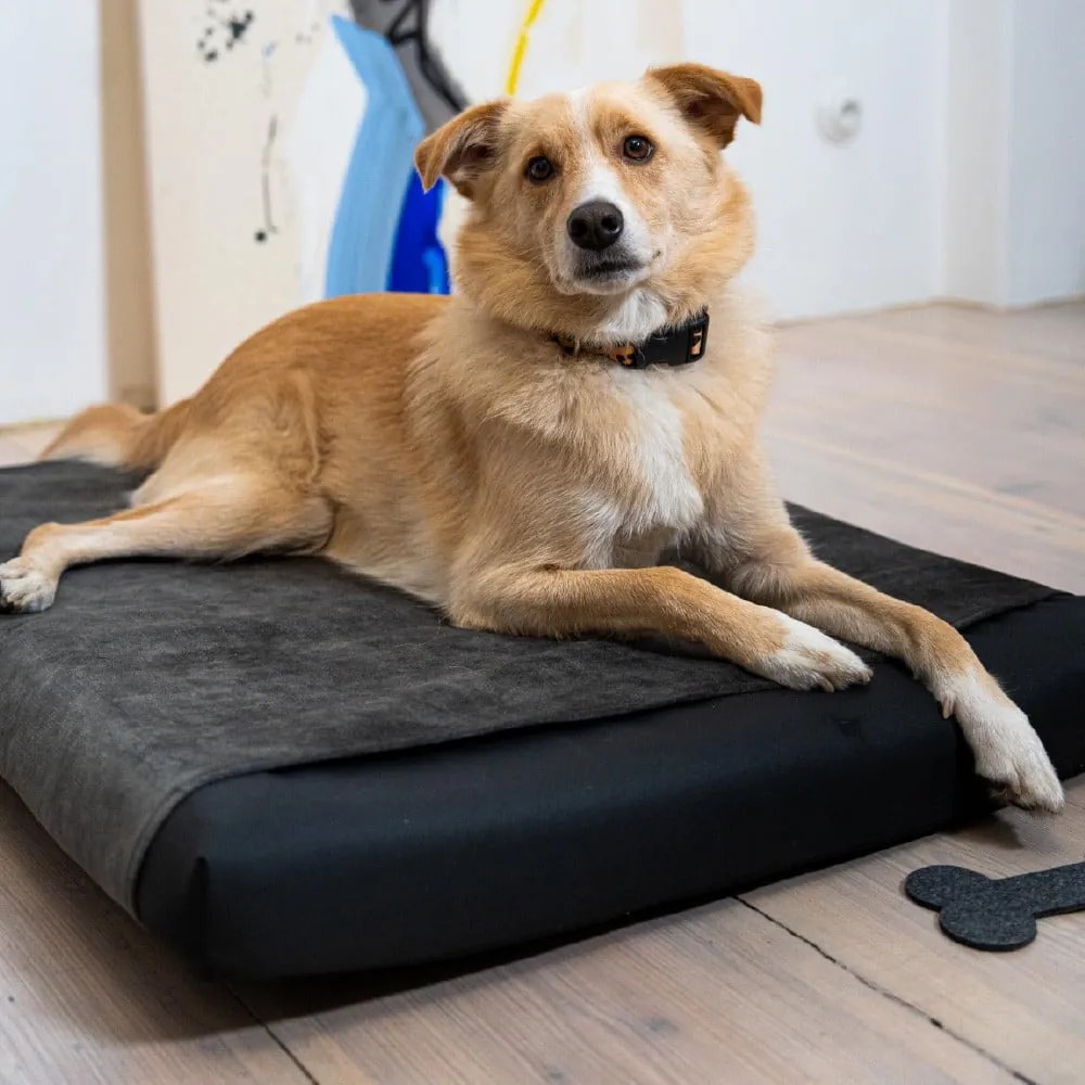 Fekete ortopédiai matrac kutyáknak 110x90 cm Ori XXL – Rexproduct