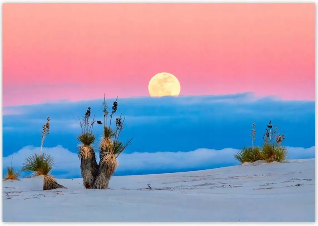 Poszterek 100x70 Kilátás Tájkép