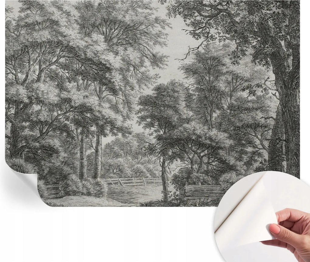 Fotótapéta Fali tapéta Hálószobába és Nappaliba Erdei táj 208x146 cm