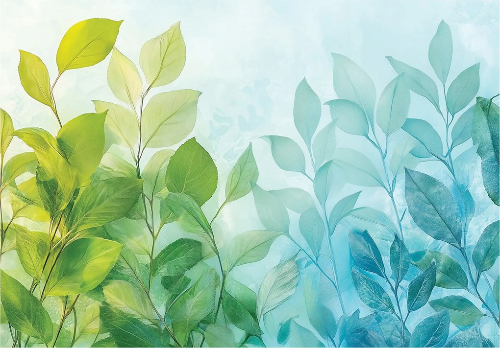 Fotótapéta Levelek Zöld Kék Hálószoba Nappali Tapéta Flizelina 300x210