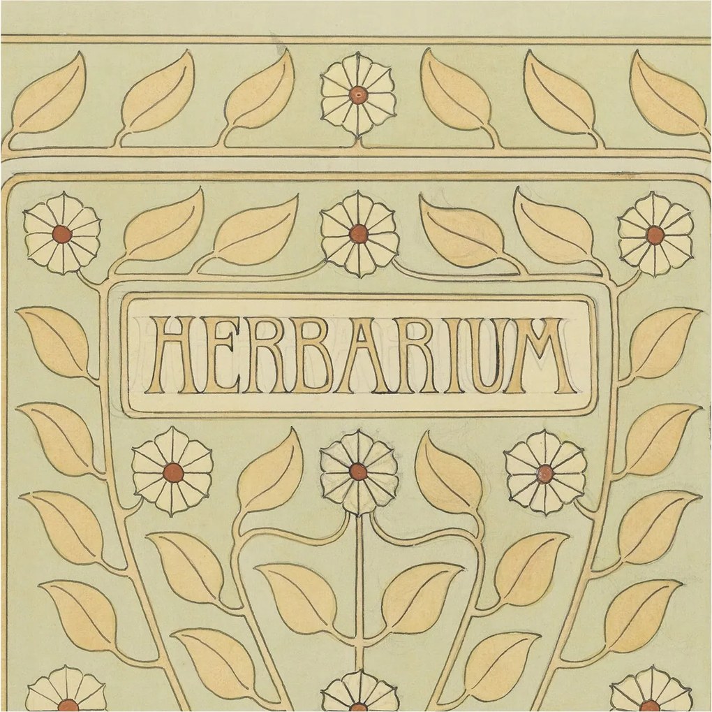 Divatos Flizelin Tapéta Fali Furnér Növényi dísz 250x250 Ragasztó