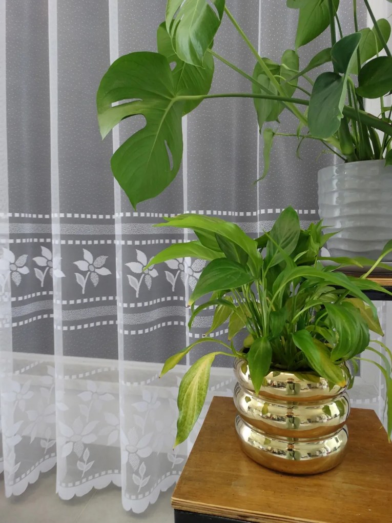 Mg Függöny jacquard 623/885 Fehér 400x250cm kész M szalaggal