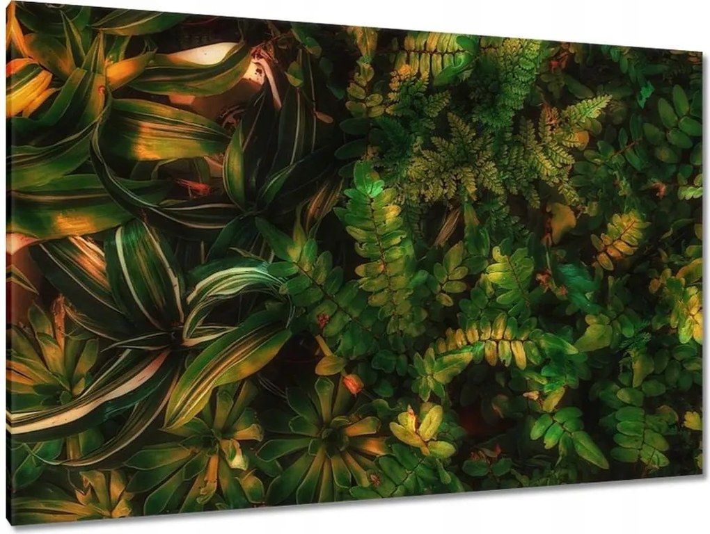 Vászonkép 120x80 Trópusi levelek Levelek