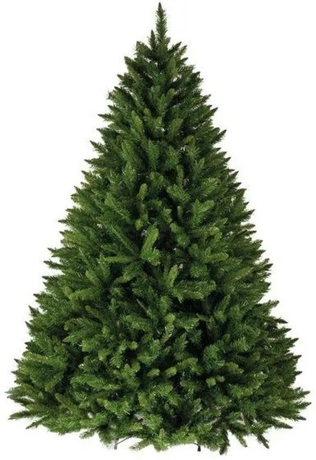 Karácsonyfa Kaukázusi Lucfenyő 240cm Premium