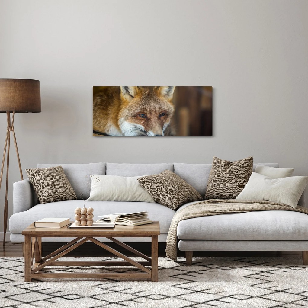 Róka képe (120x50 cm)