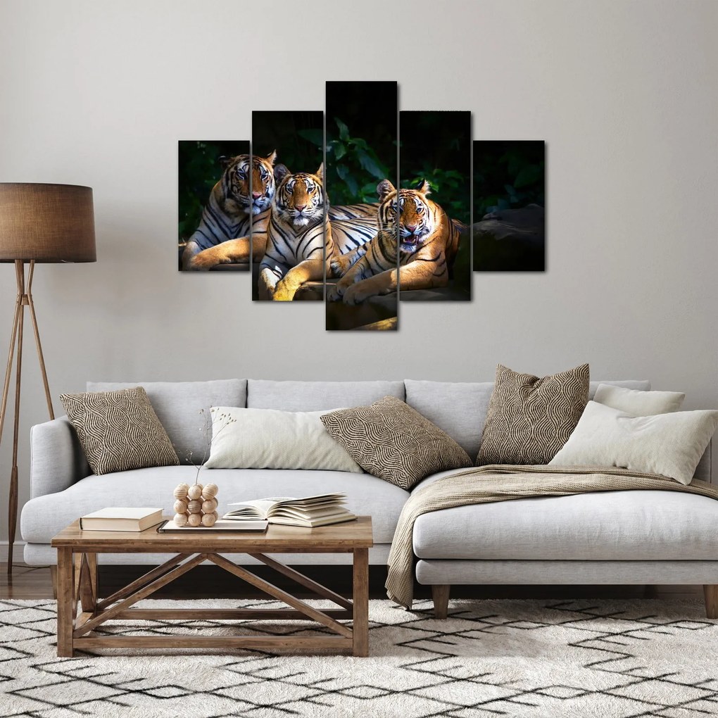 Kép - Tigris testvérek (150x105 cm)