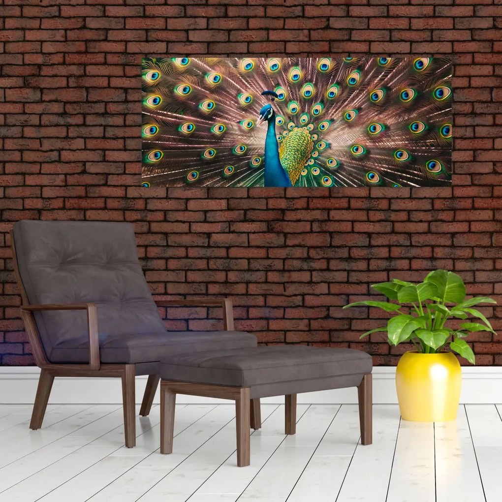 Kép - Páva (120x50 cm)