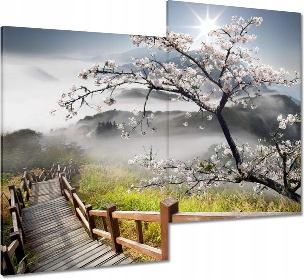 Vászonkép 80x70 Japán Virágzó cseresznye