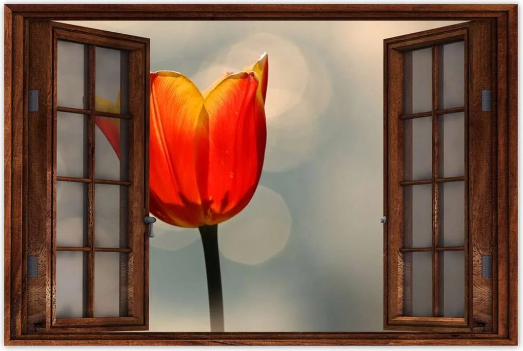 Poszterek 120x80 Narancssárga tulipán