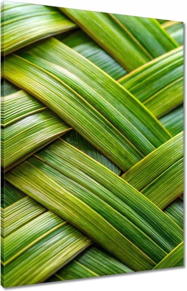 Vászonkép 60x80 Zöld fonott zöld ratt