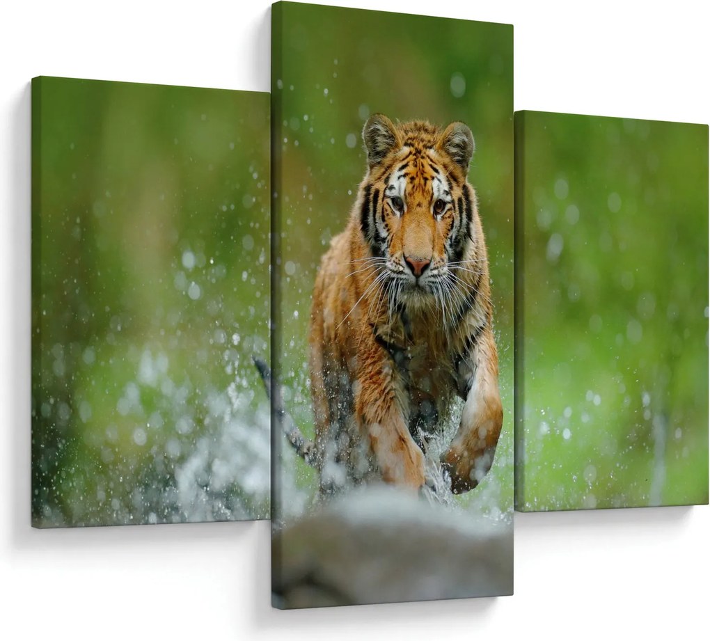 Kép - Futó tigris (90x60 cm)