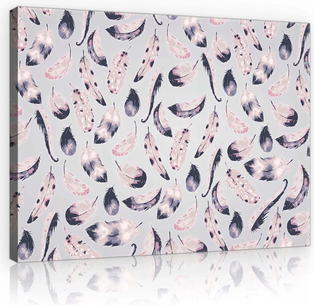 Vászonkép 100x75 Toll könnyedség finomság minta nyugalom elegancia puhaság