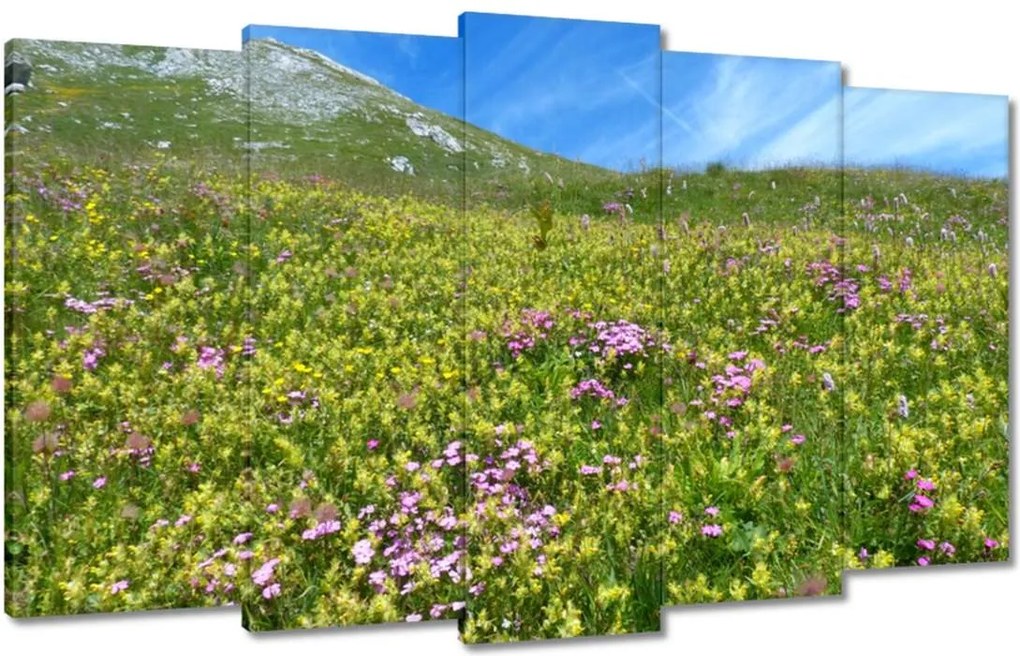 Festmények 100x60 Alpesi rét