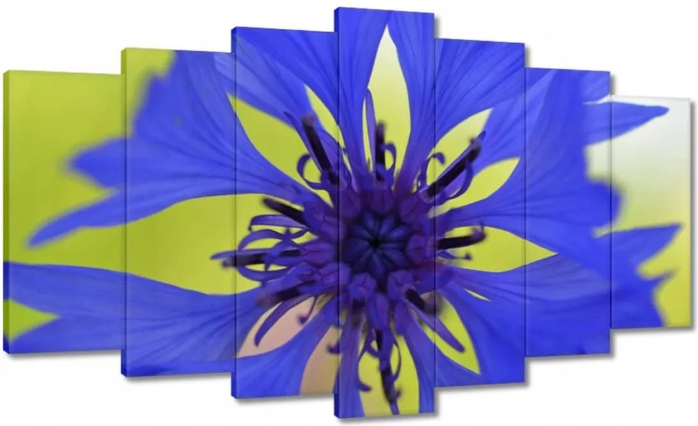 Festmények 140x80 Chaber