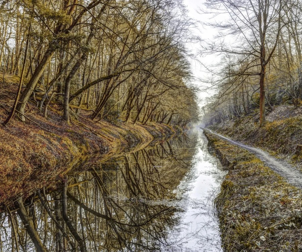 Poszter 60x50cm Csatorna az erdőben, Assaf Frank