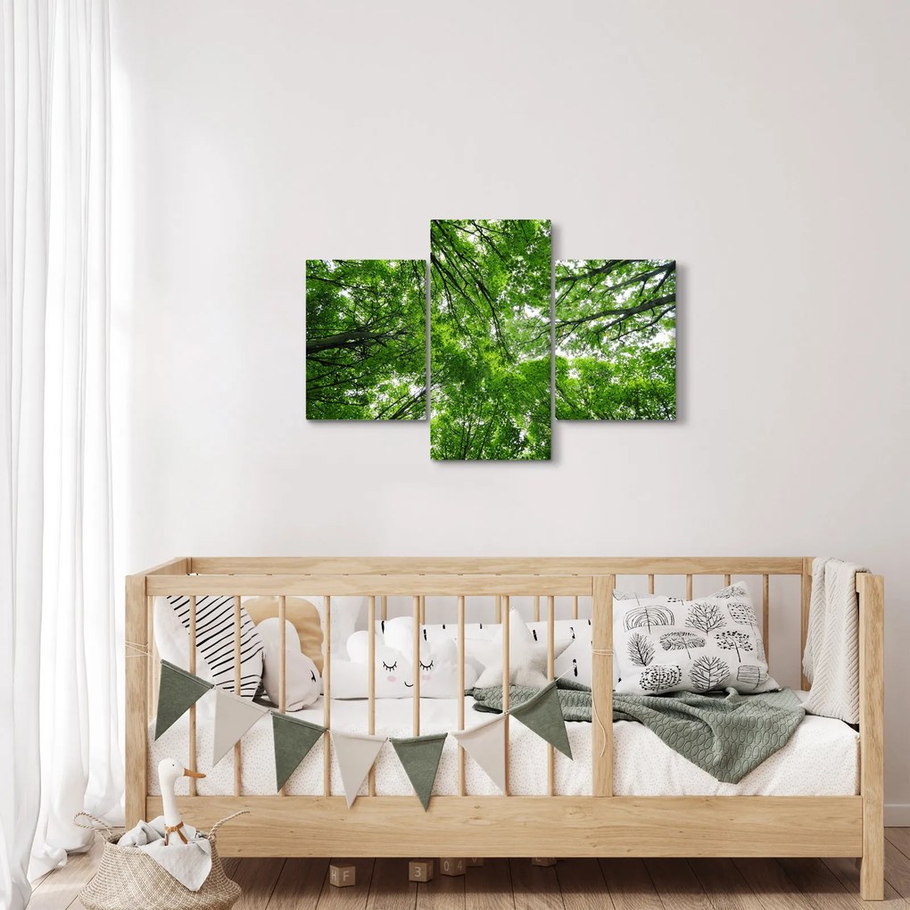 Kép - Kilátás a fák tetejére (90x60 cm)