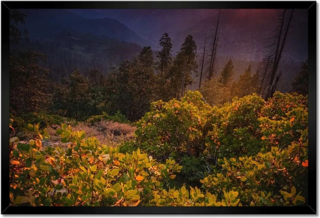 Poszterek keretben 60x40 Kilátás Tájkép