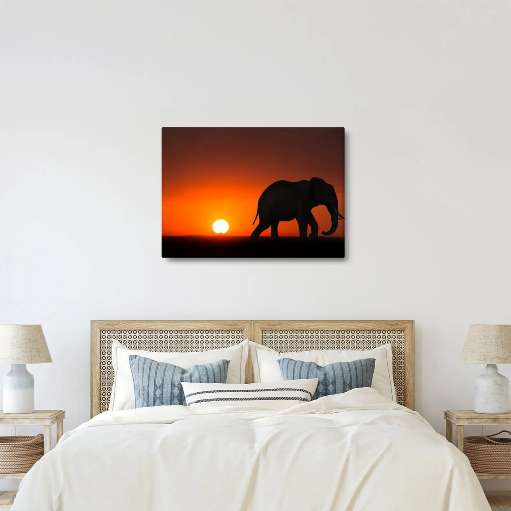 Elefánt képe naplementekor (70x50 cm)