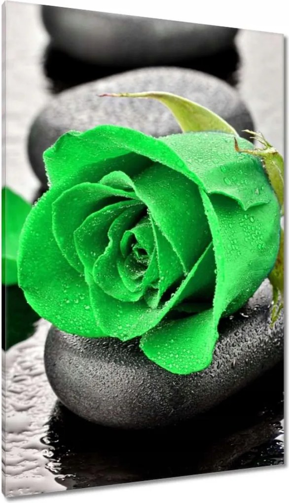 Vászonkép 80x120 Zöld rózsa kövek