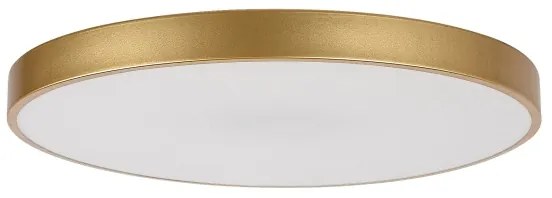 Rabalux 71038 -LED dimmelhető mennyezeti lámpa TESIA LED/60W/230V 3000-6000K+Távirányító