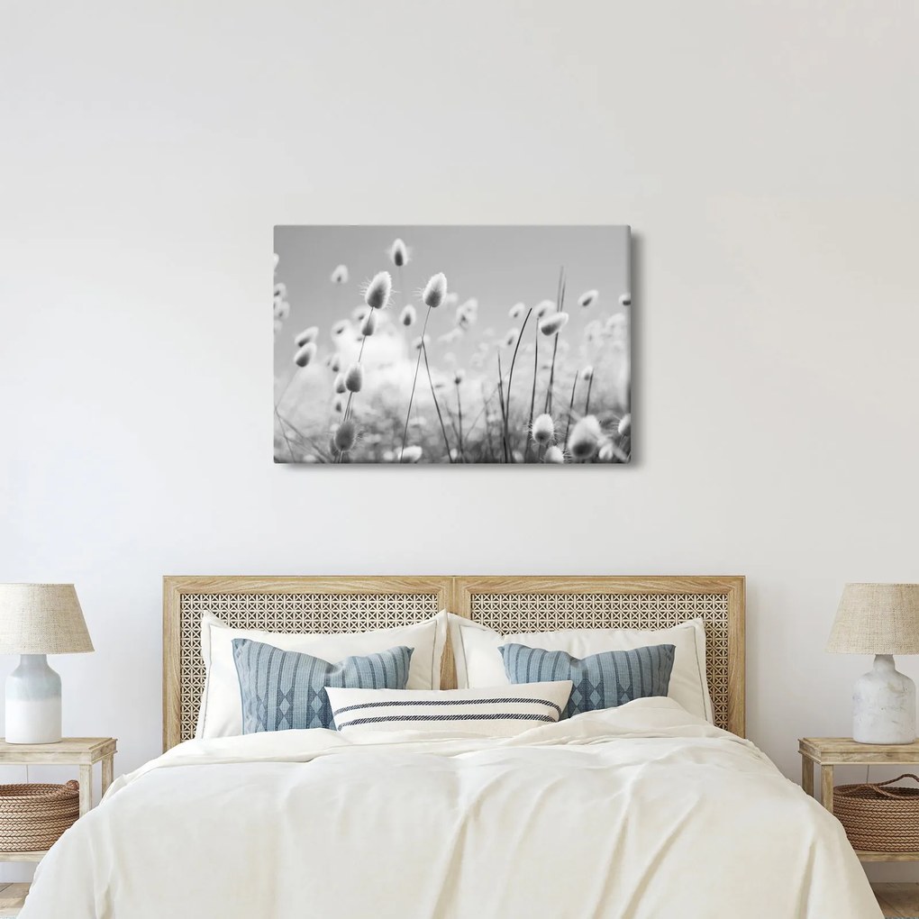 Kép - Boho nyuszi farok fű (90x60 cm)