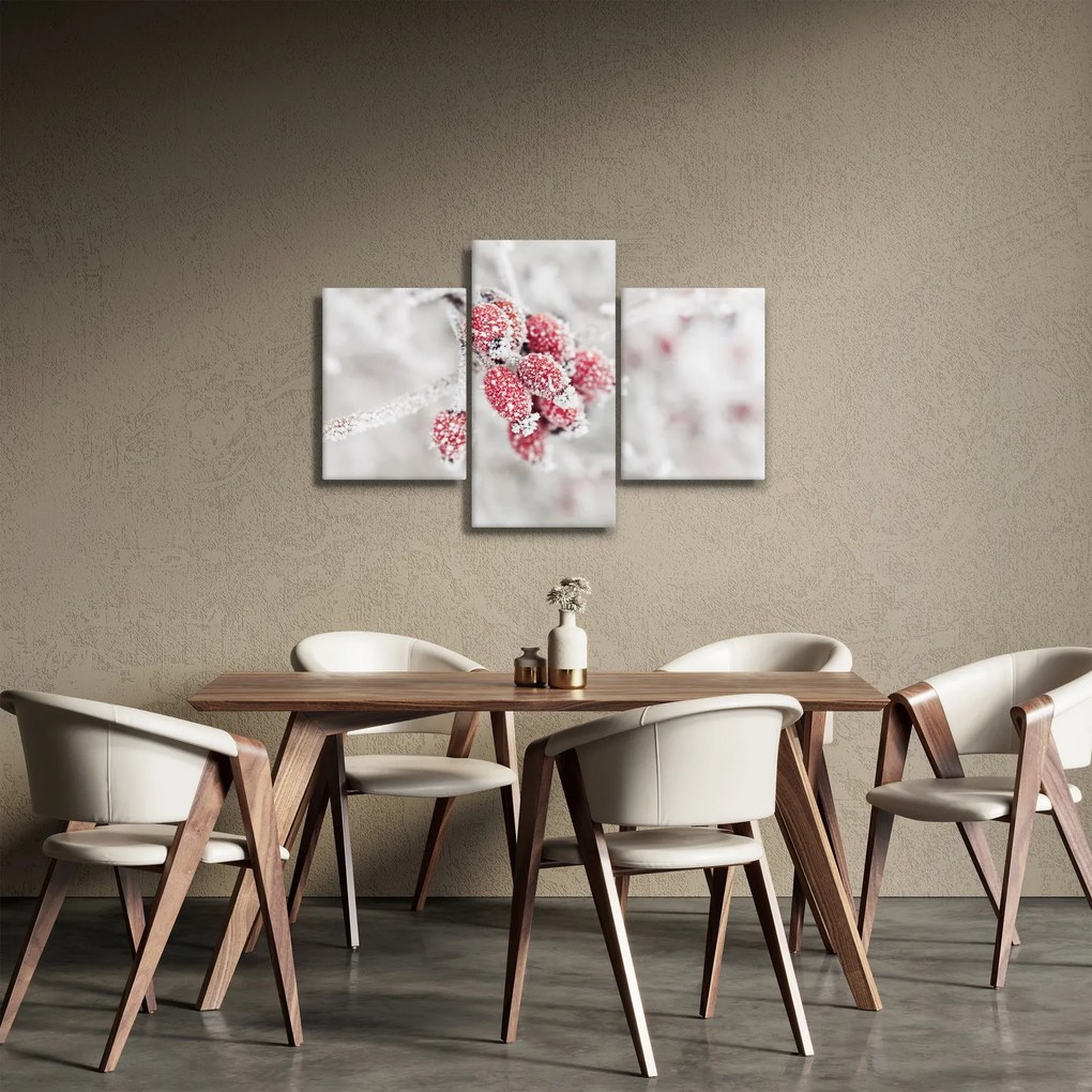 Kép - Fagyasztott gyümölcsök (90x60 cm)