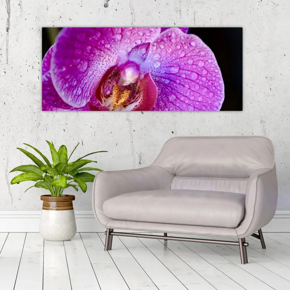 Részletes kép az orchidea virágról (120x50 cm)