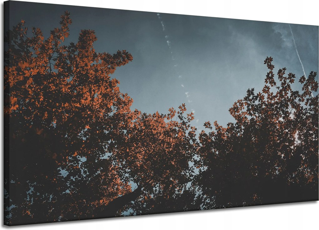 Vászonkép Természet Narancssárga fák 120x70