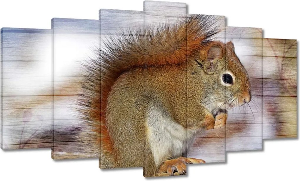 Festmények 140x80 Mókus