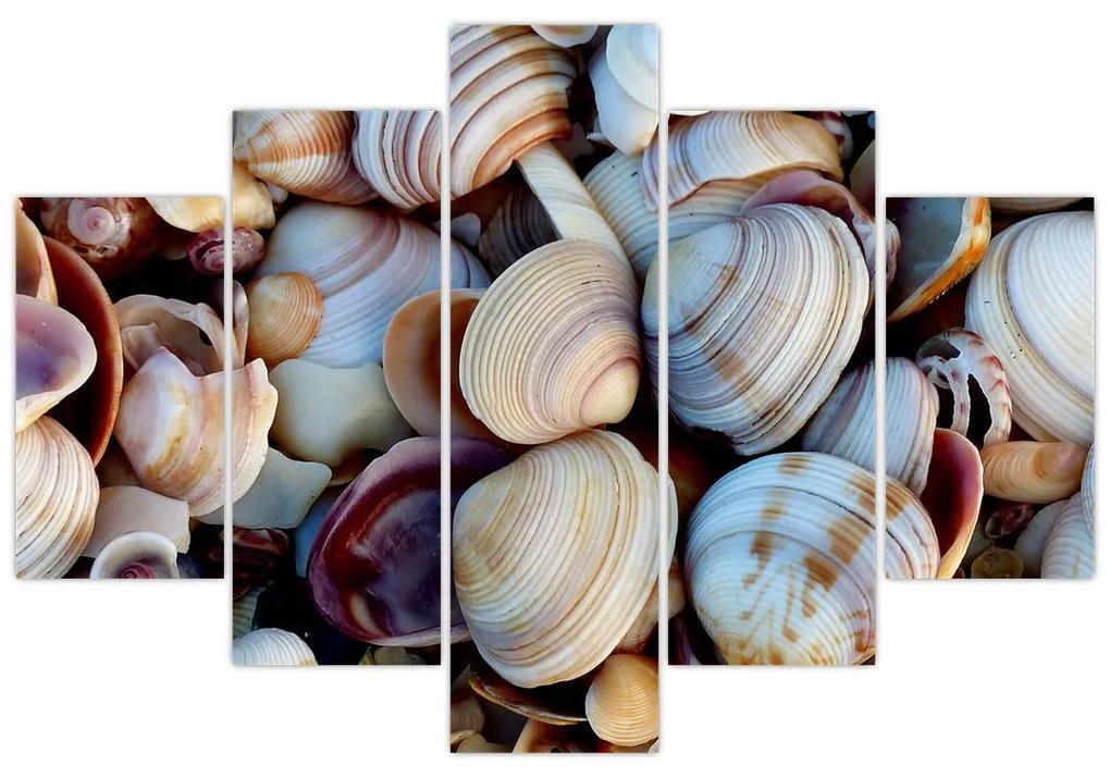 Kagyló képe (150x105 cm)