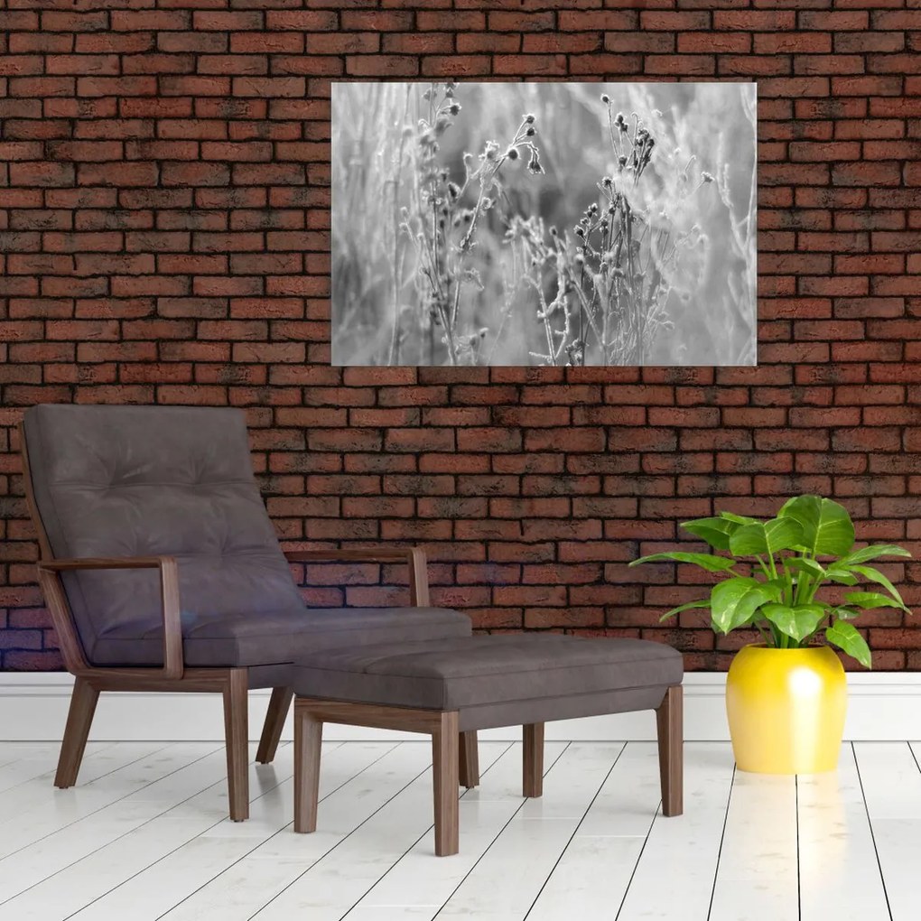Kép - Wild Meadow (90x60 cm)