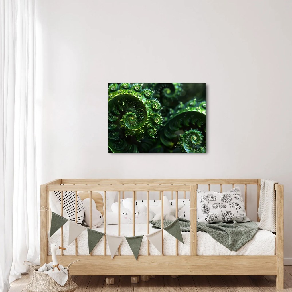 Kép - Spirálok (70x50 cm)