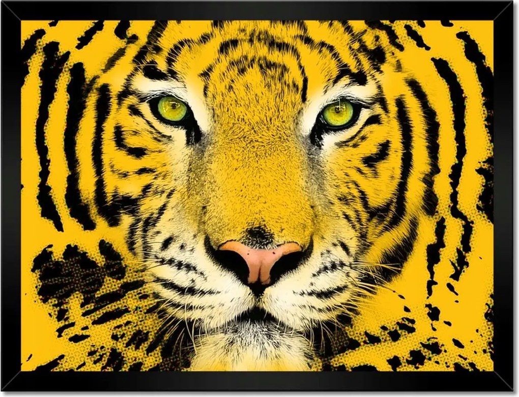 Poszter keretben 40x30 Tigris Tigrisfej