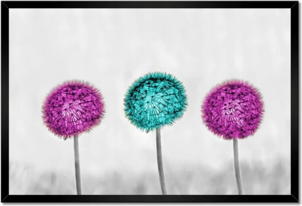 Poszterek keretben 60x40 Lila pitypangok