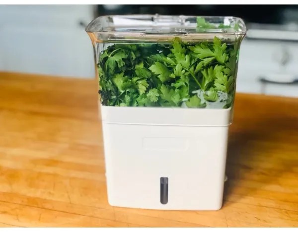 Cole&Mason - Tartály frissen vágott fűszernövények tárolására