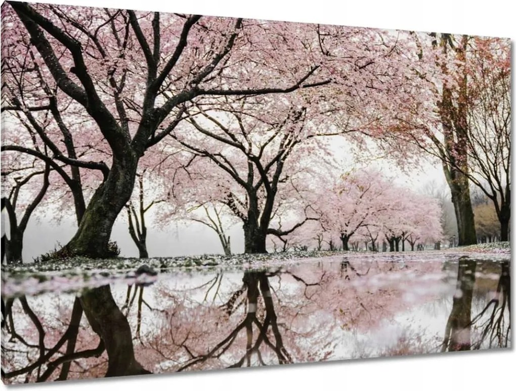 Festmények 120x80 Fa Fák Kilátás