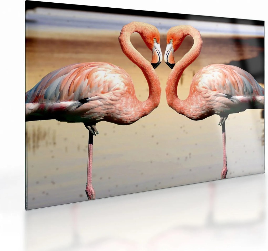 Kép - két flamingó (üvegen) (70x50 cm)