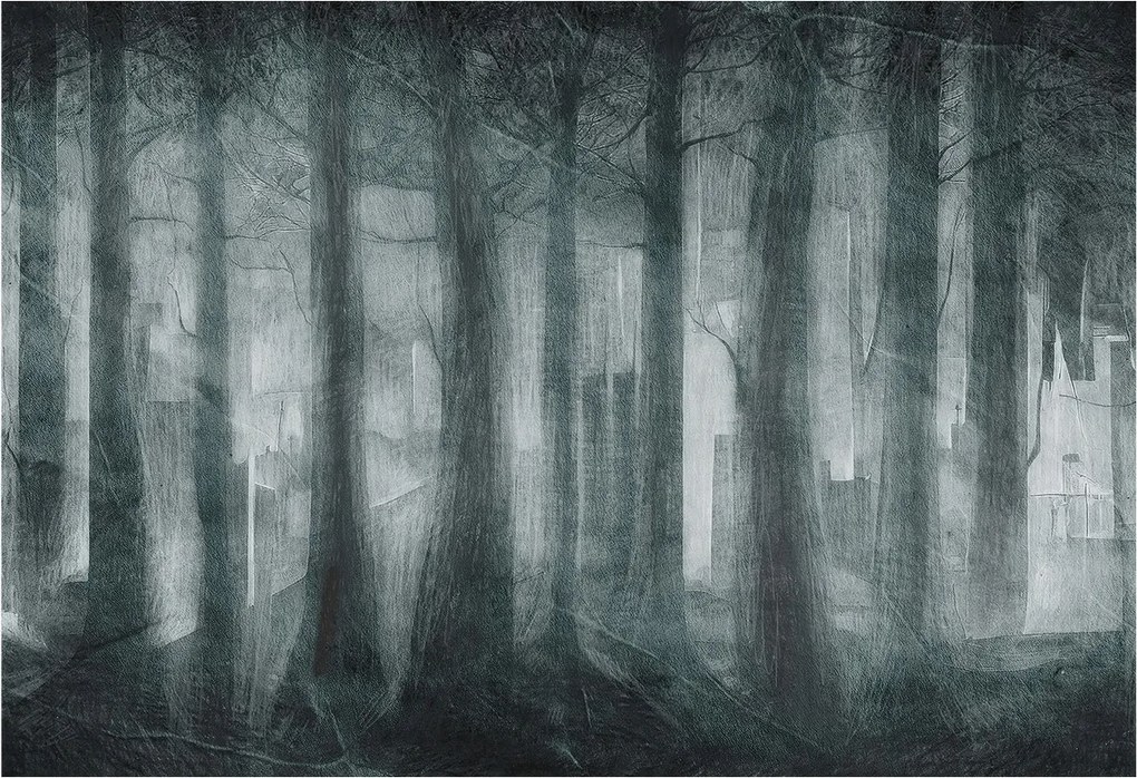 Design fotótapéta Flizelin falra Rejtélyes erdő 152x104 Ragasztó