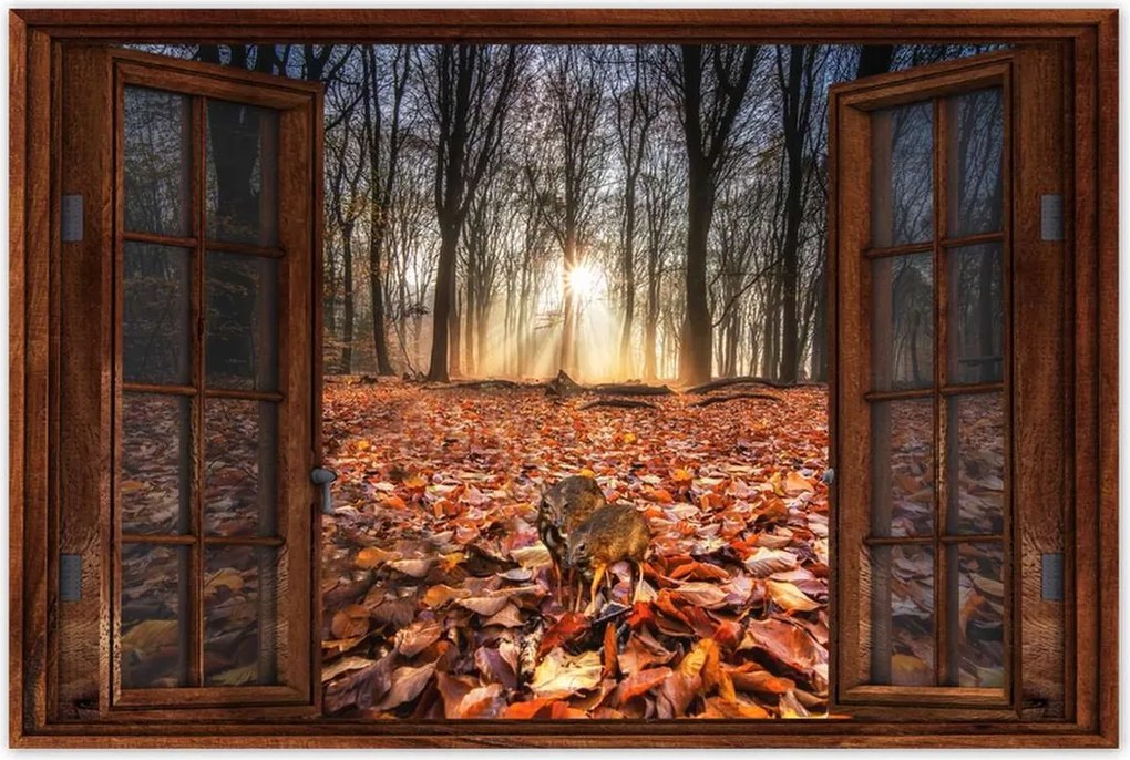 Poszterek 90x60 Kihalás fenyegeti