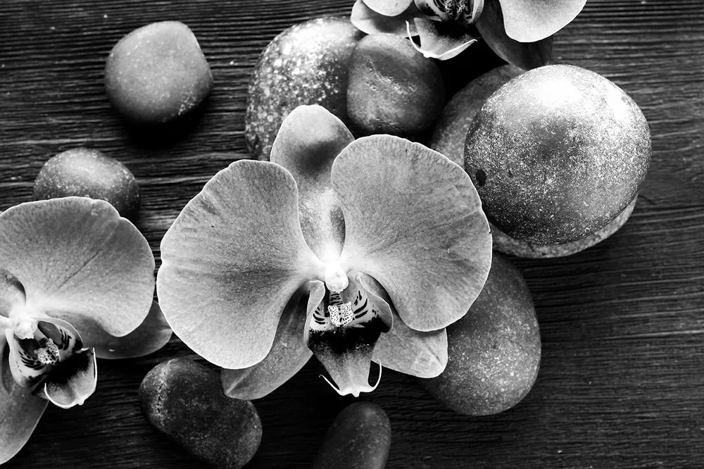 Öntapadó fotótapéta orchidea és kövek fekete-fehérben