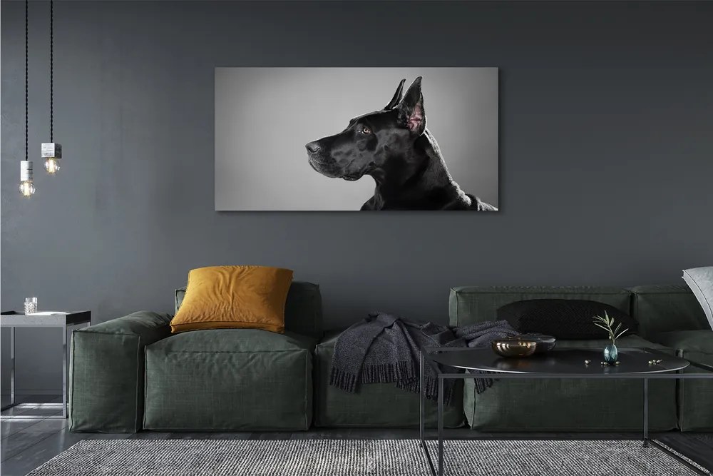 Canvas képek Fekete kutya 125x50 cm