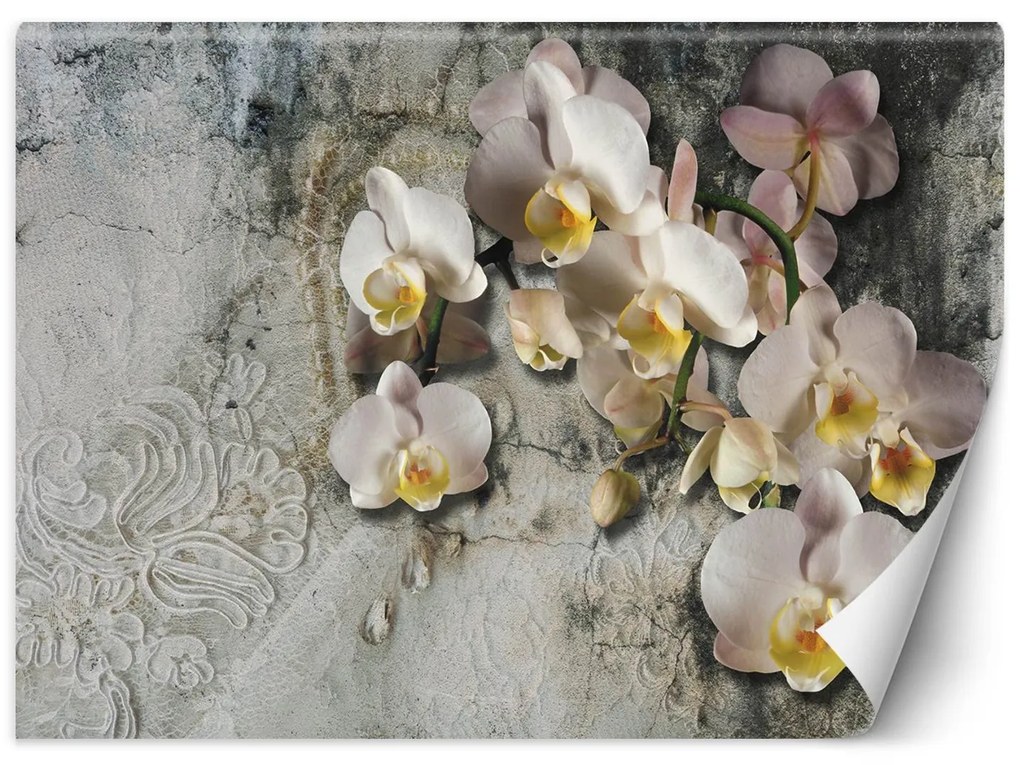 Gario Fotótapéta Virágzó orchidea egy régi fal hátterén Anyag: Vlies, Méret: 350 x 245 cm