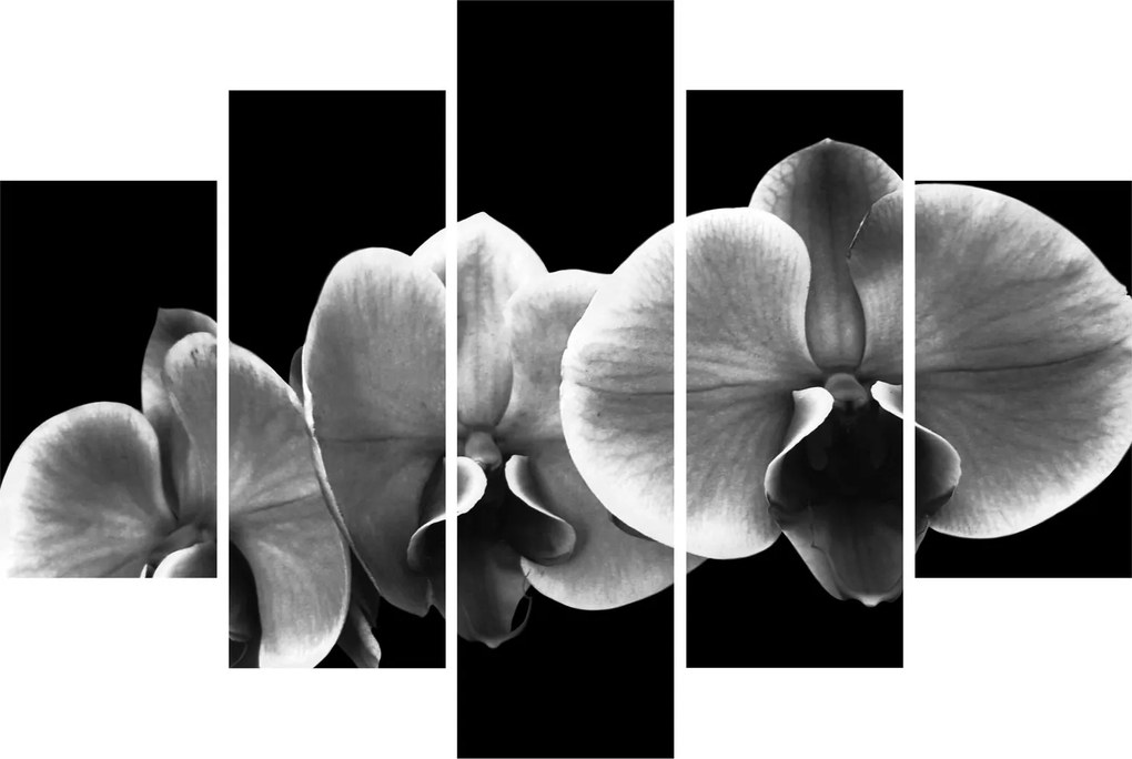 Egy orchidea virág képe (150x105 cm)