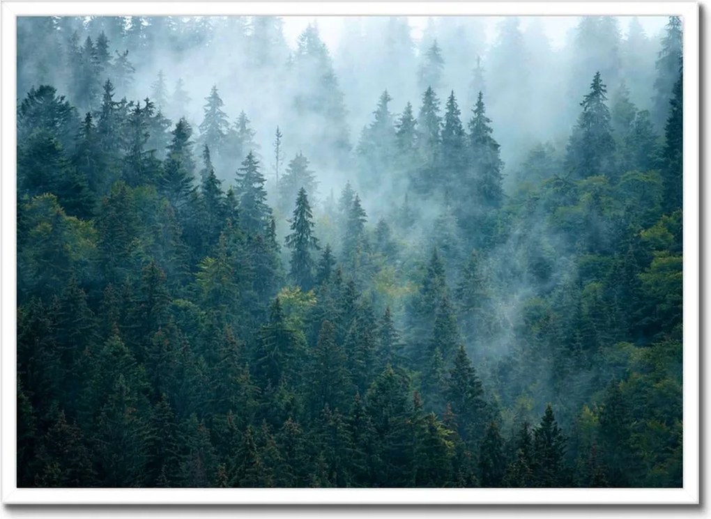Poszter fehér keretben 70x50 Erdő a ködben Utazás